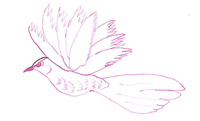 Diamine-Amaranth-drawing